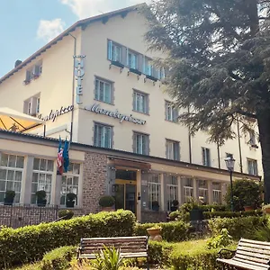 https://hotel-montepizzo.emilia-romagnahotels.net